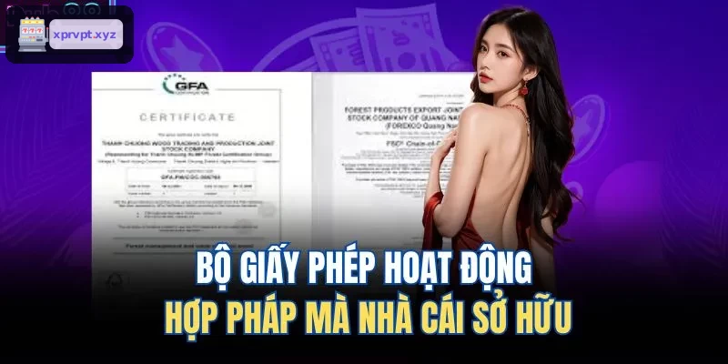Bộ giấy phép hoạt động hợp pháp của nhà cái