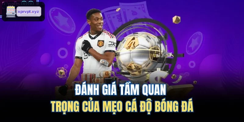 Đánh giá tầm quan trọng của mẹo cá độ bóng đá