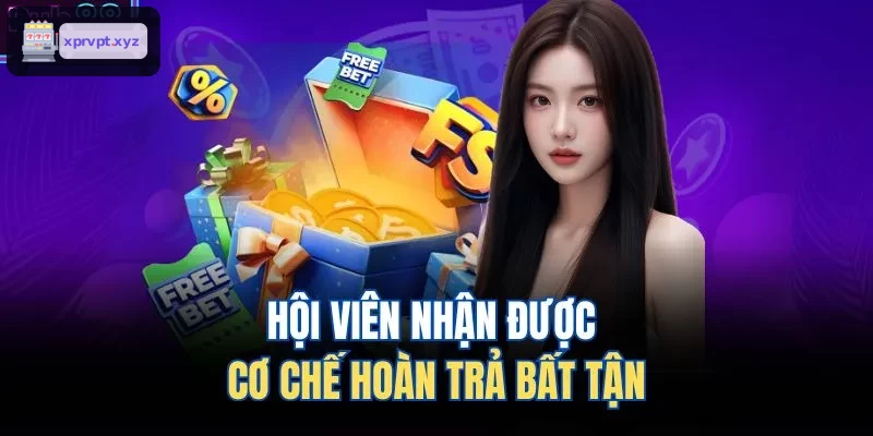 Chính sách hoàn trả hấp dẫn dành cho hội viên